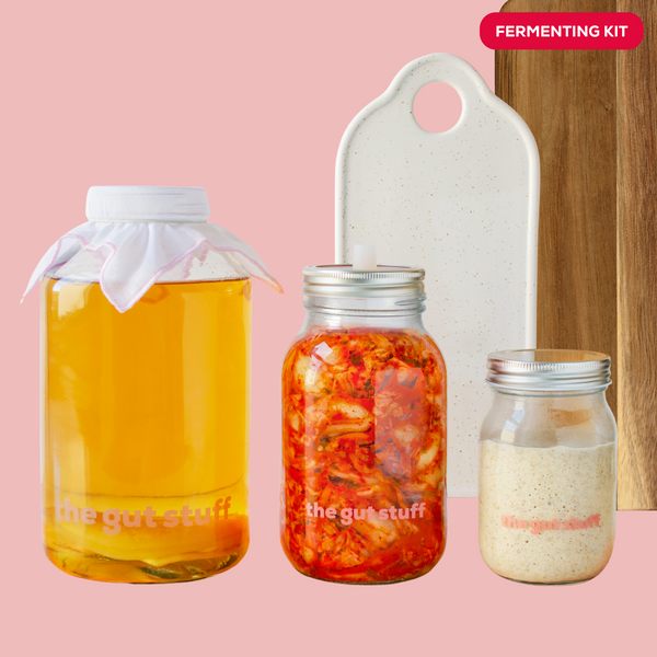 gut friendly products fermenting kit