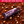 high fibre bars cocoa & hazelnut 12 bar box